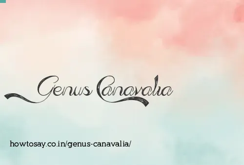 Genus Canavalia
