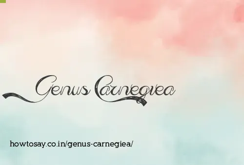 Genus Carnegiea