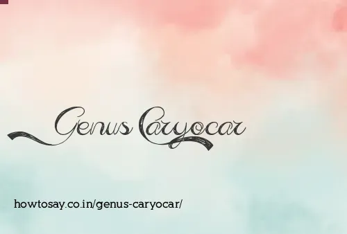 Genus Caryocar