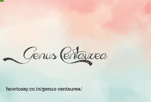 Genus Centaurea