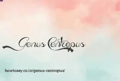 Genus Centropus