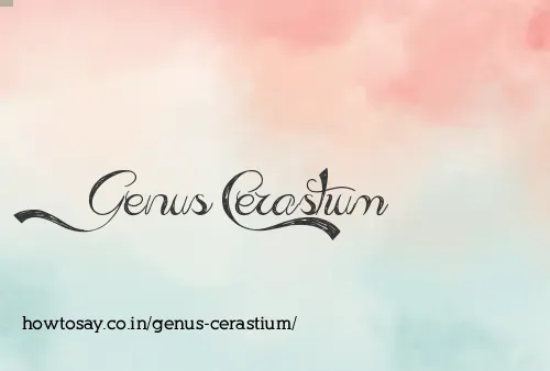 Genus Cerastium