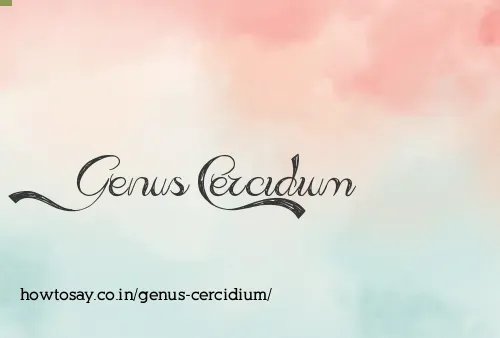Genus Cercidium