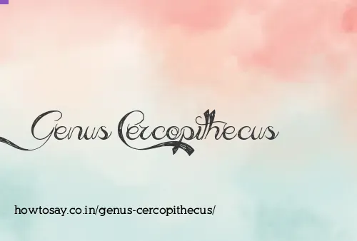 Genus Cercopithecus