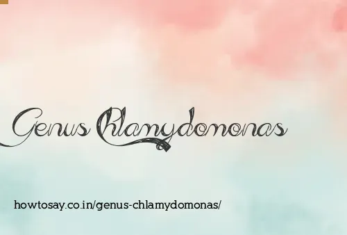 Genus Chlamydomonas