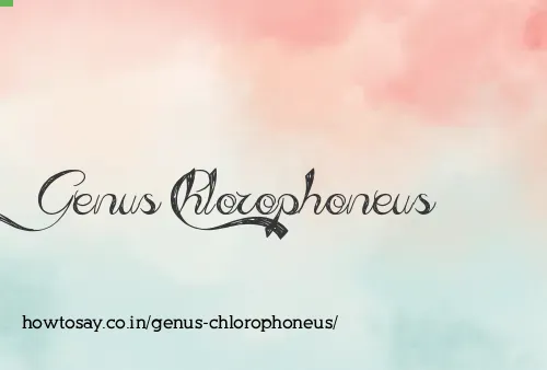 Genus Chlorophoneus