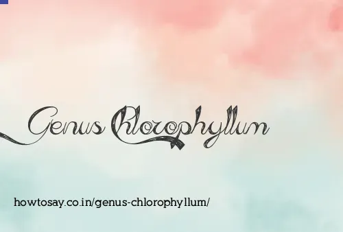 Genus Chlorophyllum