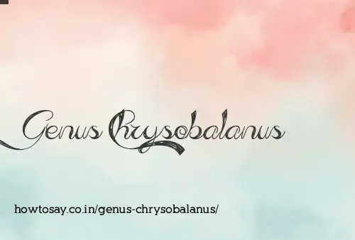 Genus Chrysobalanus