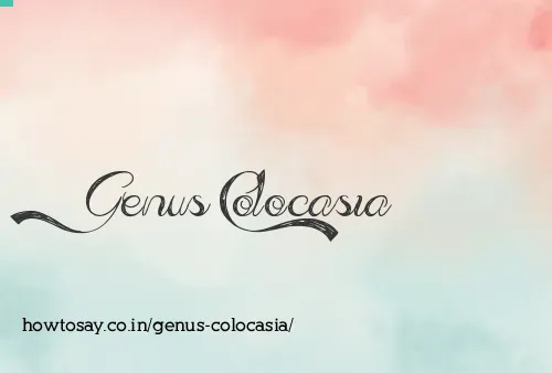 Genus Colocasia