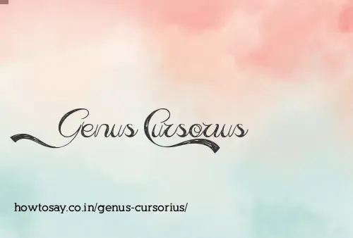 Genus Cursorius