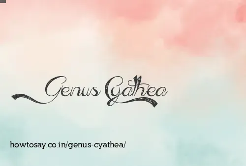 Genus Cyathea