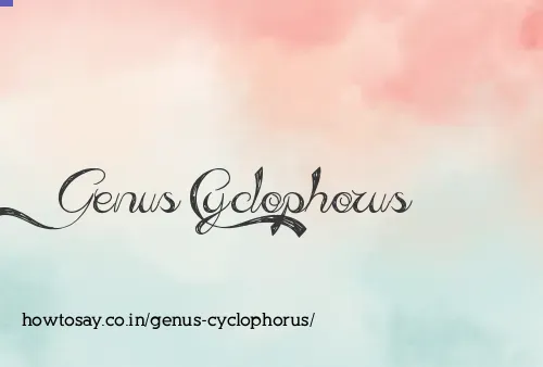 Genus Cyclophorus