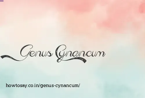 Genus Cynancum