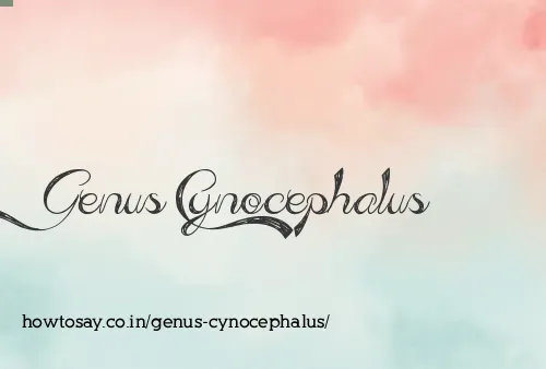 Genus Cynocephalus
