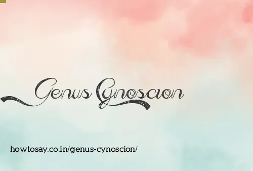 Genus Cynoscion