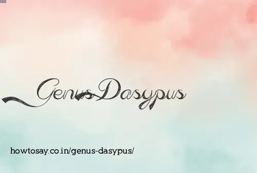 Genus Dasypus