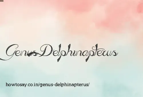 Genus Delphinapterus