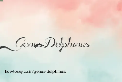 Genus Delphinus