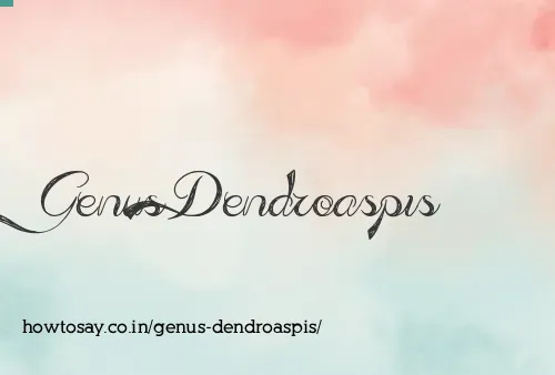 Genus Dendroaspis