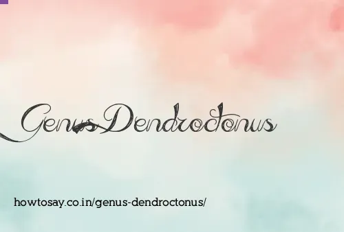Genus Dendroctonus