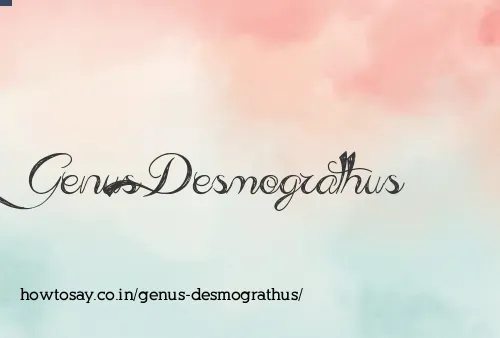 Genus Desmograthus