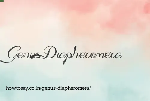 Genus Diapheromera
