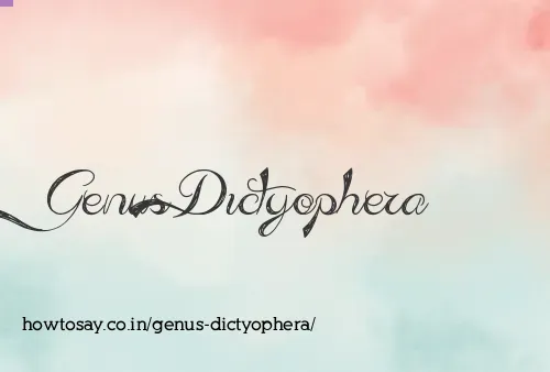 Genus Dictyophera