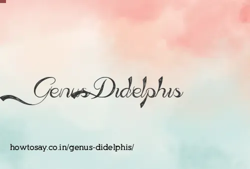 Genus Didelphis