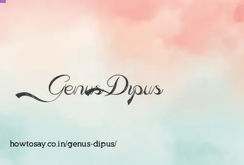 Genus Dipus