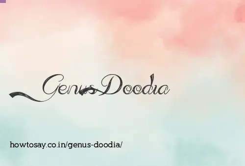 Genus Doodia