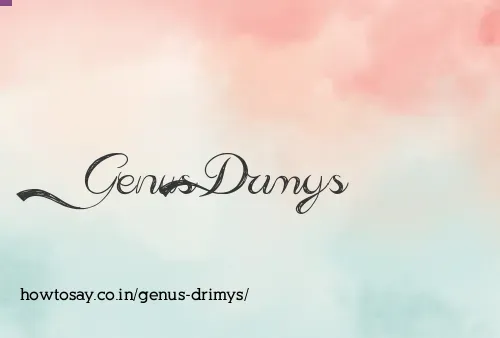 Genus Drimys