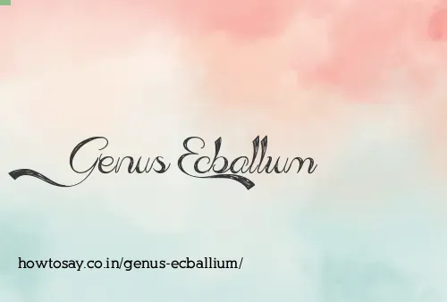 Genus Ecballium
