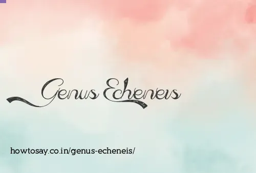 Genus Echeneis
