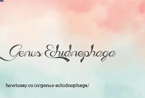 Genus Echidnophaga