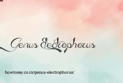 Genus Electrophorus