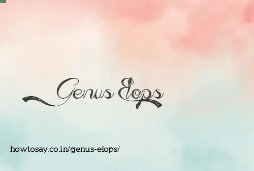 Genus Elops