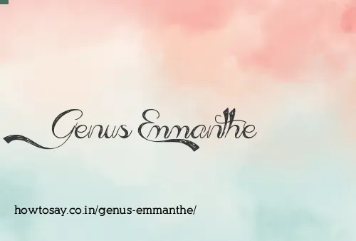 Genus Emmanthe