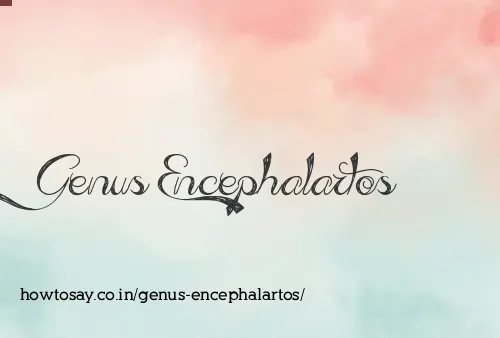 Genus Encephalartos