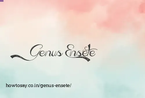 Genus Ensete
