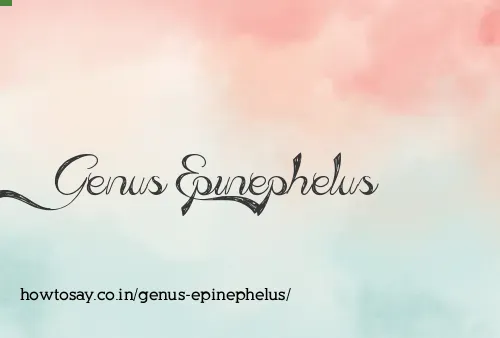 Genus Epinephelus