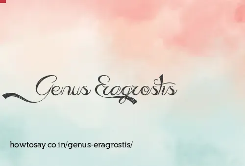 Genus Eragrostis