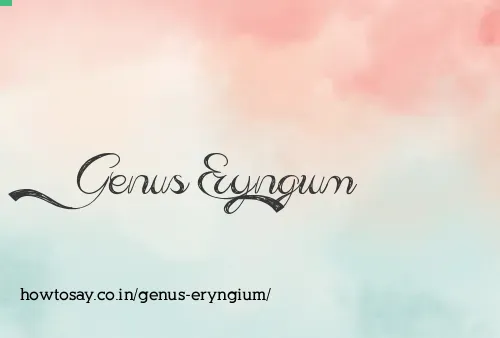 Genus Eryngium