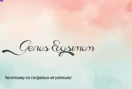 Genus Erysimum