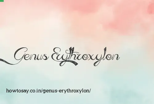Genus Erythroxylon