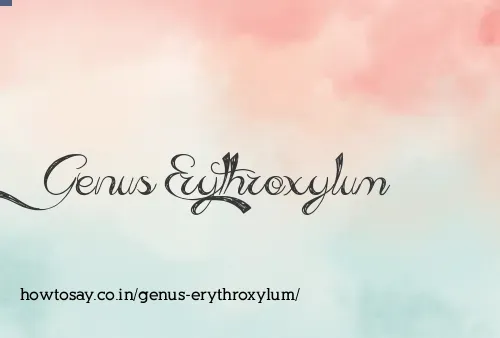 Genus Erythroxylum
