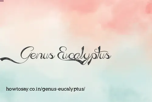 Genus Eucalyptus