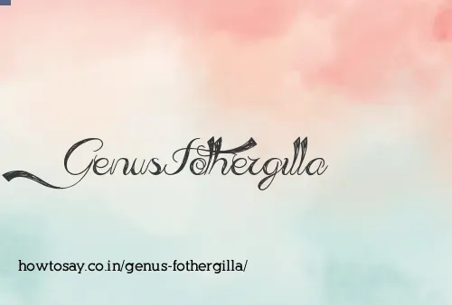 Genus Fothergilla