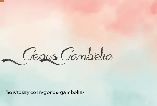 Genus Gambelia