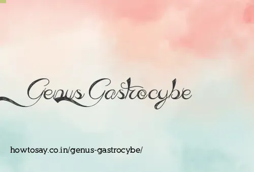 Genus Gastrocybe