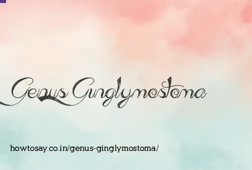 Genus Ginglymostoma